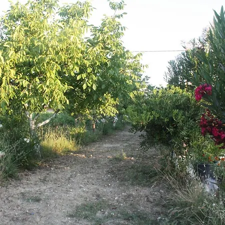Casa Del Vigneto *