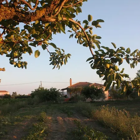 公寓 Casa Del Vigneto