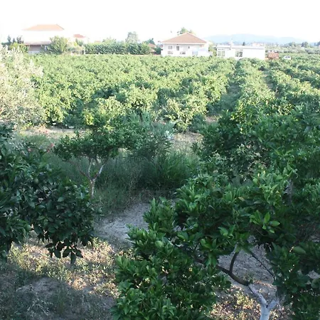 Casa Del Vigneto *