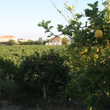 公寓 Casa Del Vigneto Kalpaki (Zakynthos)