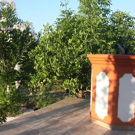 公寓 Casa Del Vigneto Kalpaki (Zakynthos)